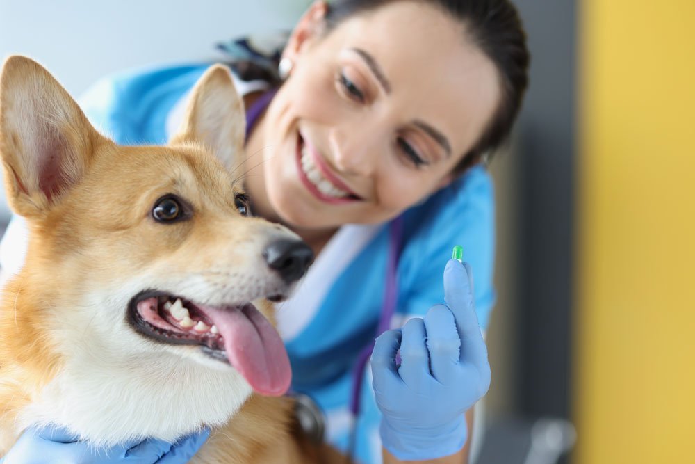 Uso e vantagens da manipulação veterinária