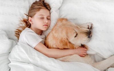 Dormir com Cães: Conforto ou Riscos? O Que Você Precisa Saber