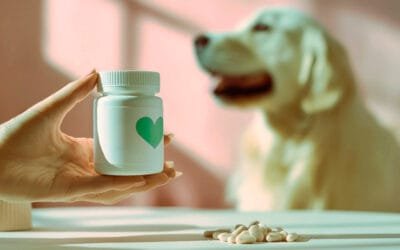 Vetery: farmácia de manipulação veterinária com a precisão e a credibilidade dos 40 anos do Grupo Formularium